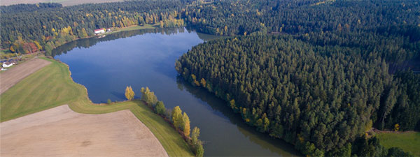 Rothenbürger Weiher