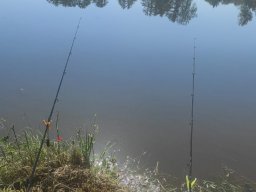 IMG-20240806-WA0008