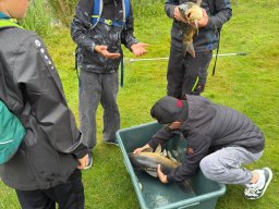 IMG-20250731-WA0003