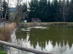 IMG-20230407-WA0028