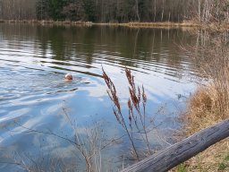 IMG-20230407-WA0029