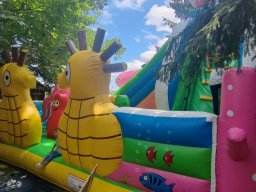 IMG_20230716_135038