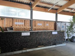IMG_20240720_121546