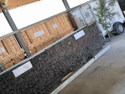 IMG_20240720_121630