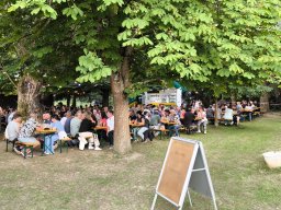IMG_20240720_192251