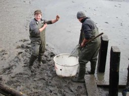 2013 Abfischen