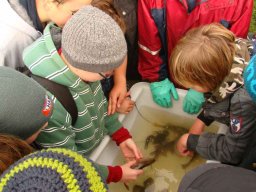 2013 Abfischen