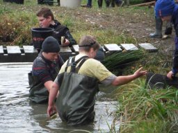 2013 Abfischen