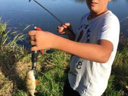 img-20181013-wa0008