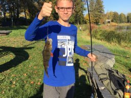 img-20181013-wa0009