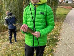 img-20231105-wa0005-26
