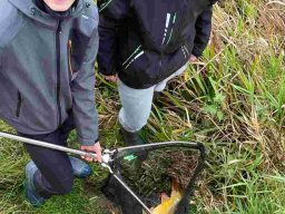 img-20231105-wa0009-34