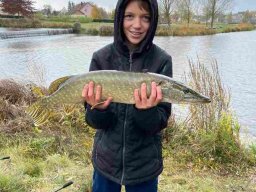 img-20231105-wa0014-44