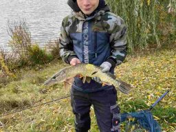 img-20231105-wa0017-50
