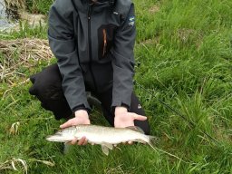 img-20240505-wa0009