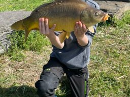 img-20250416-wa0029