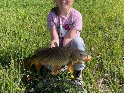 img-20250416-wa0032