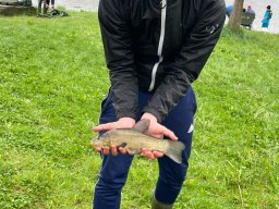 img-20250424-wa0021