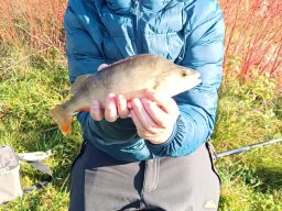 img-20251104-wa0005