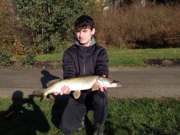 img-20251104-wa0008